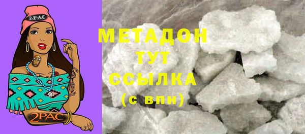 индика Ладушкин