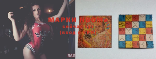 индика Ладушкин
