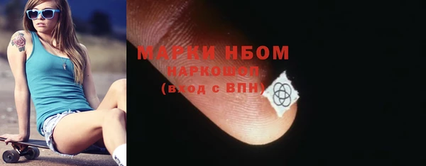 индика Ладушкин
