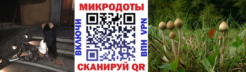 Галлюциногенные грибы ЛСД  OMG как зайти  Кириллов 